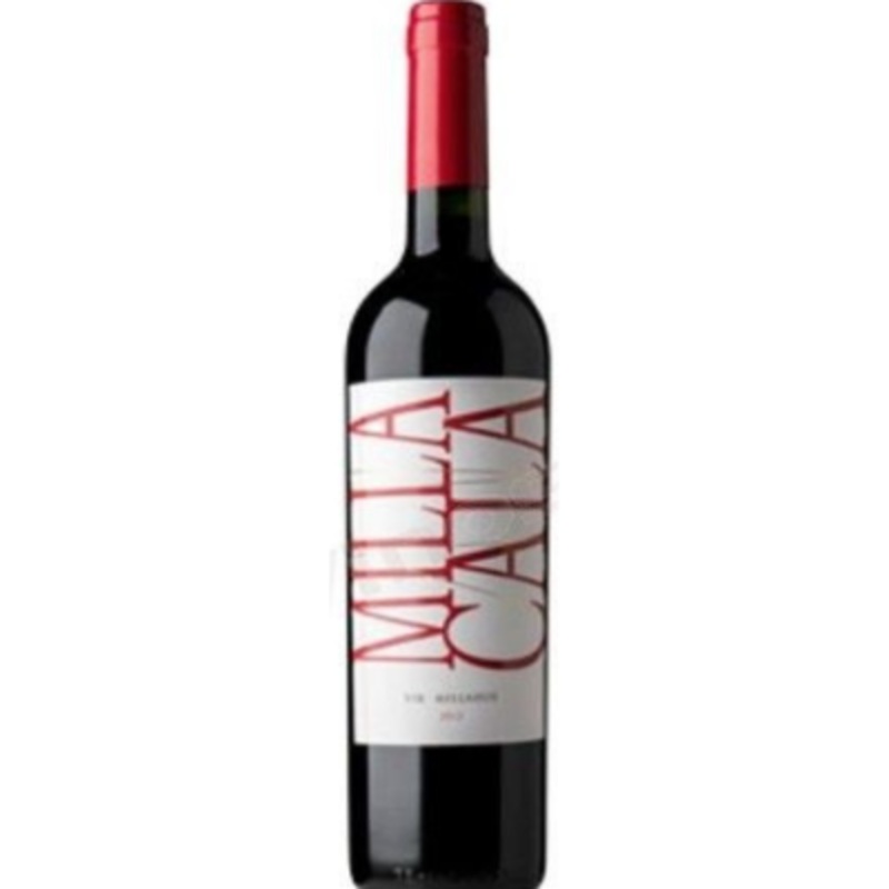 VIK 'Milla Cala', Millahue, Chile 2021