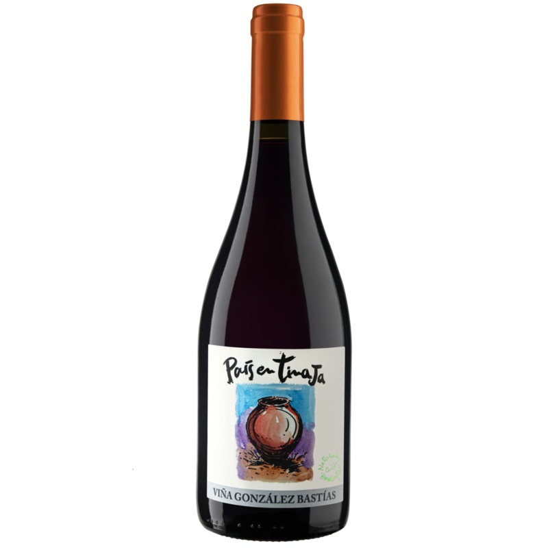 Vina Gonzalez Bastias 'Pais en Tinaja' Pais, Maule Valley, Chile 2020 Case (6x750ml)