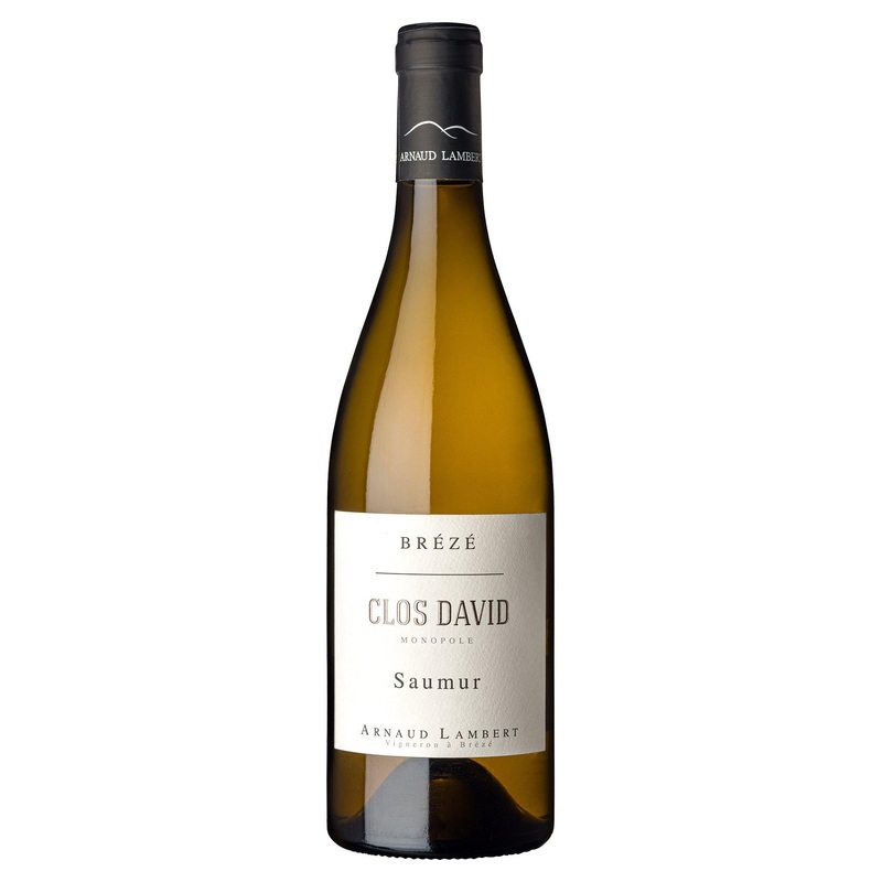 Arnaud Lambert Saumur Brz Clos David 2021
