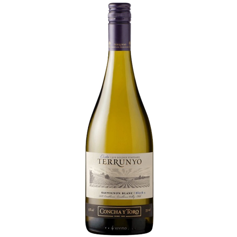 Terrunyo Sauvignon Blanc Los Boldos Vineyard Valle De Casablanca 2019 750 ML