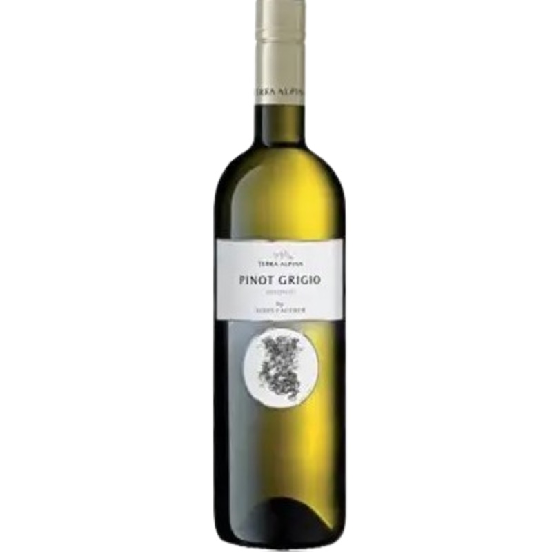 Terra Alpina Vigneti Delle Dolomiti Pinot Grigio 2021 750 ML